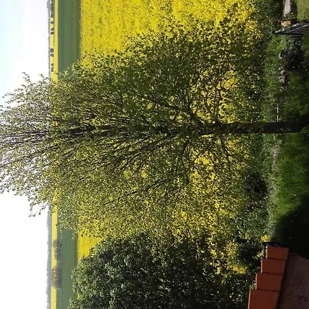 Fehmarn Ostseeferien Fh4/ferienhaus Mary *